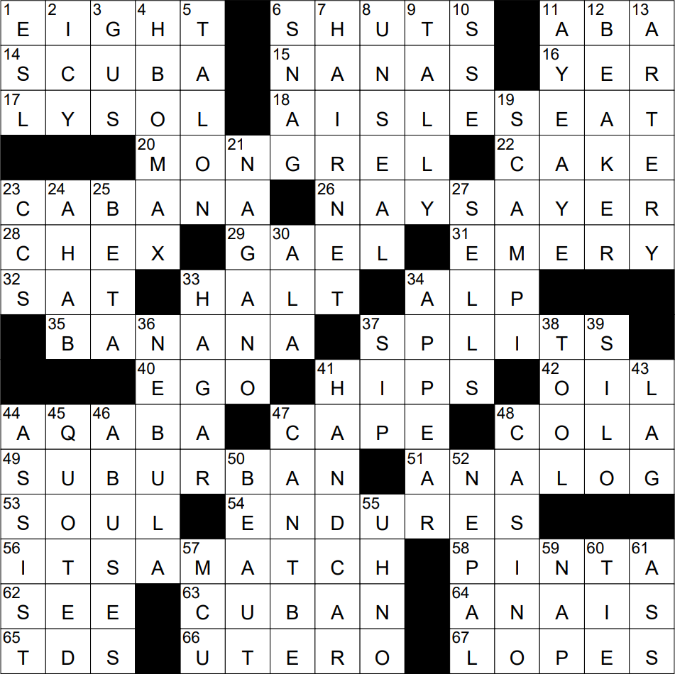 0304 24 NY Times Crossword 4 Mar 24 Monday NYXCrossword