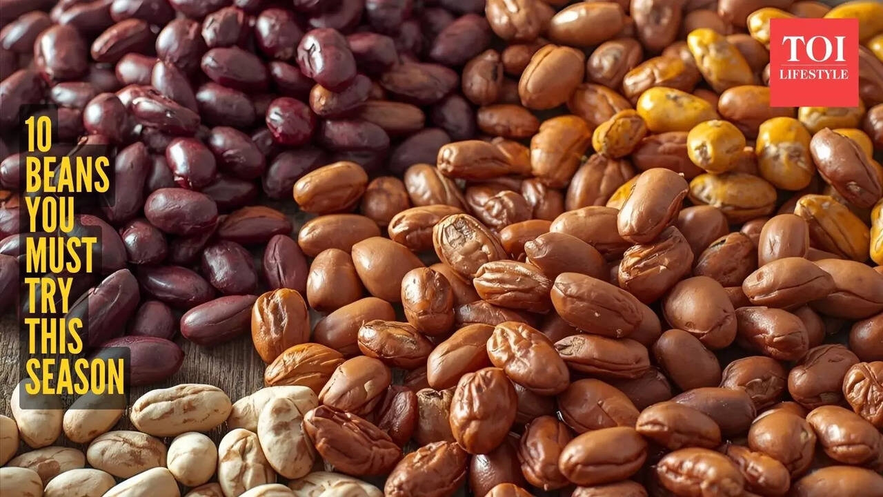 10 Types Of Beans And How Much Protein They Contain The Times Of India