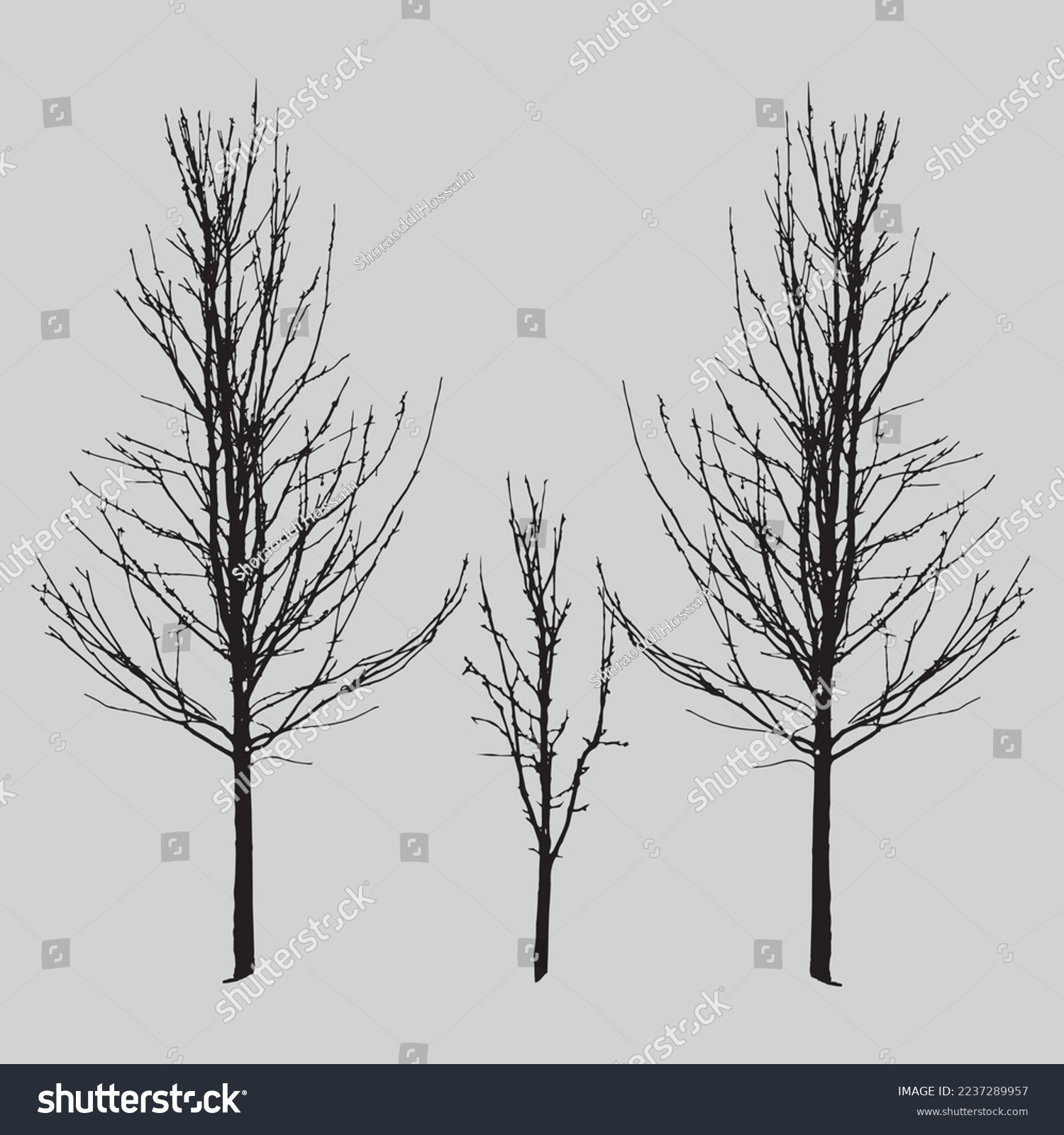 13 Tree Crossword Clue Royalty Free Images Stock Photos Pictures Shutterstock