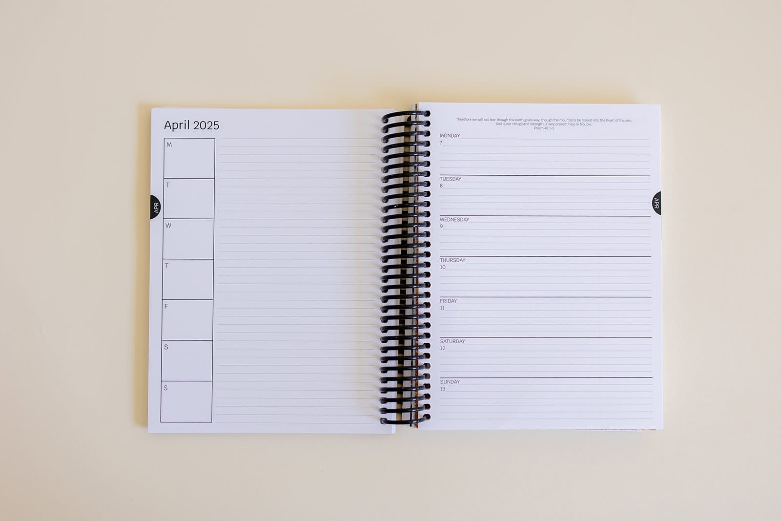 2025 Classic Weekly Planner Studio 331