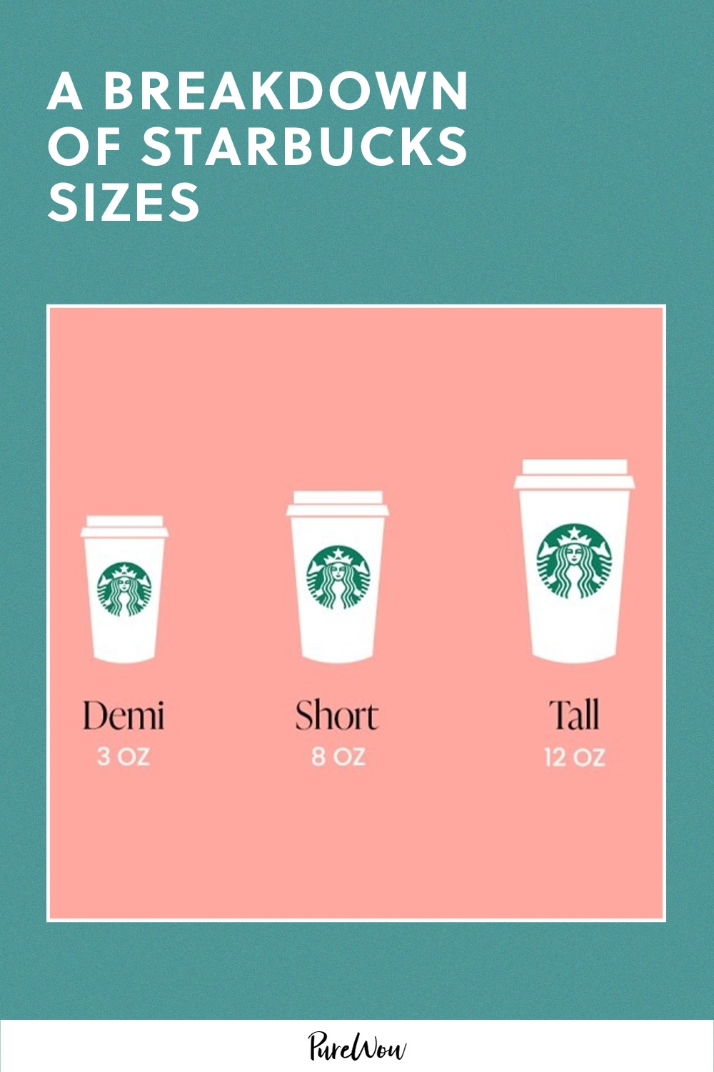 A Breakdown Of Starbucks Sizes By A Former Barista PureWow