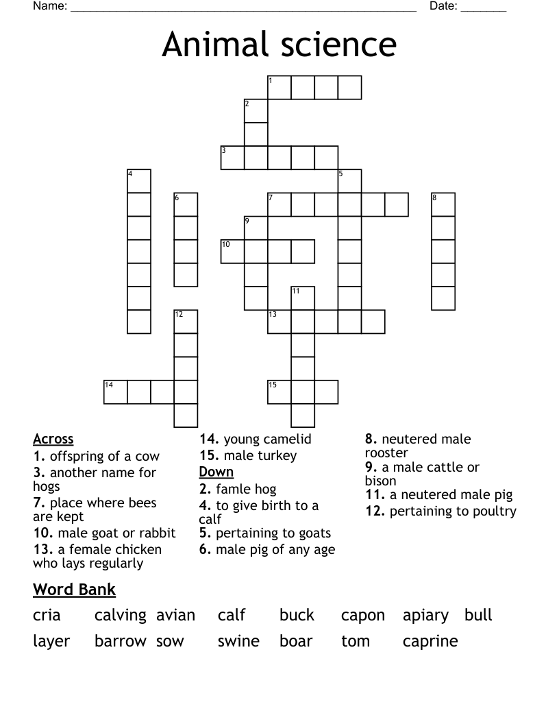 Animal Science Crossword WordMint Animal Science Crossword WordMint