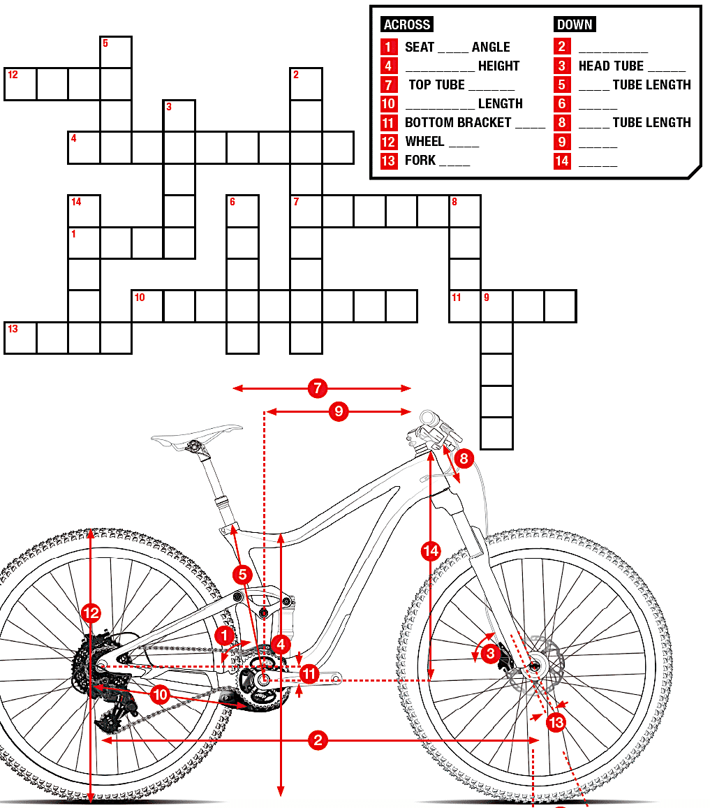 ANSWERS To Last Month s MBA Crossword Puzzle Geometry Terminology Mountain Bike Action Magazine