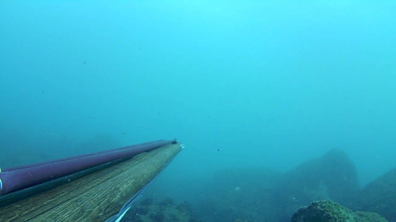 Author Umberto 3 Letters Author Umberto 3 Letters