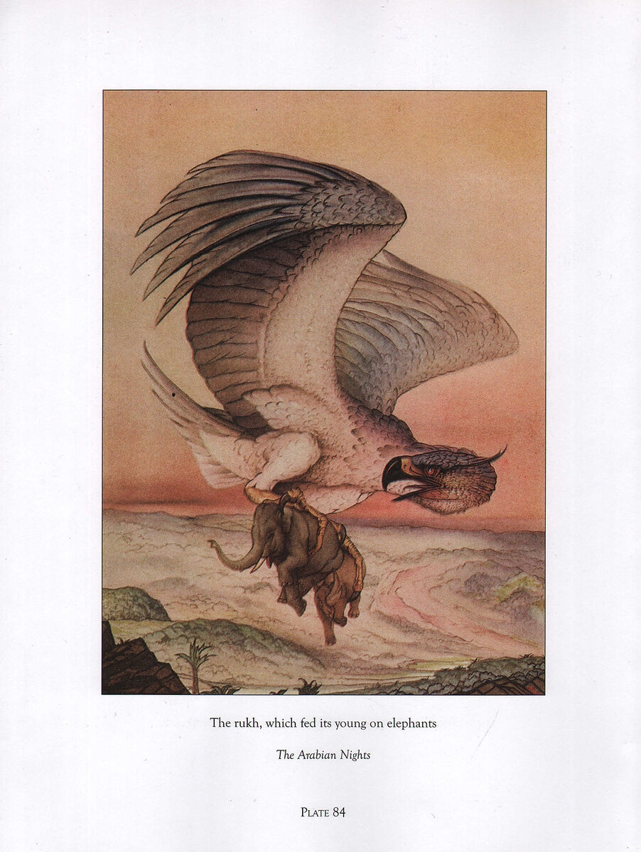 BEAUTIFUL VINTAGE BIRD PRINT RUKH ARABIAN NIGHTS DETMOLD EBay