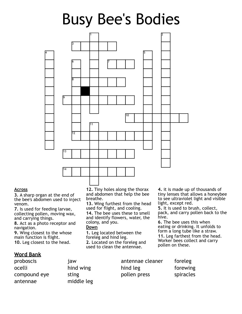songbird crossword puzzle clue