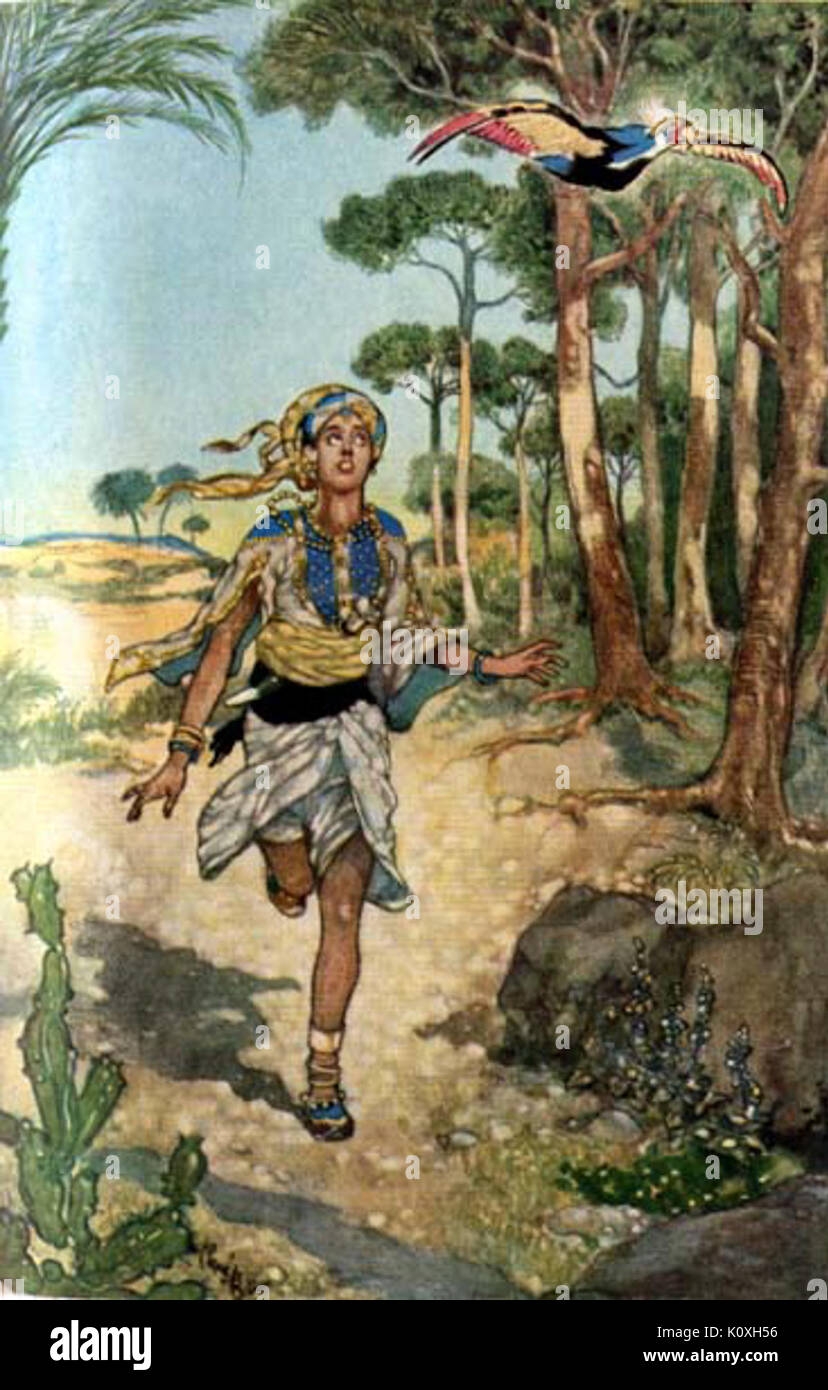 Bird From Arabian Nights Stock Photo Alamy