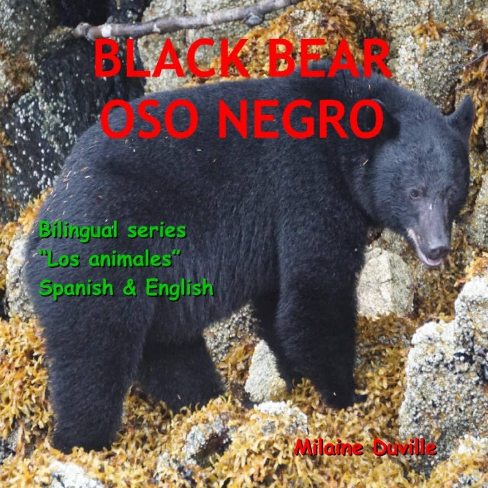 what is bear in spanish