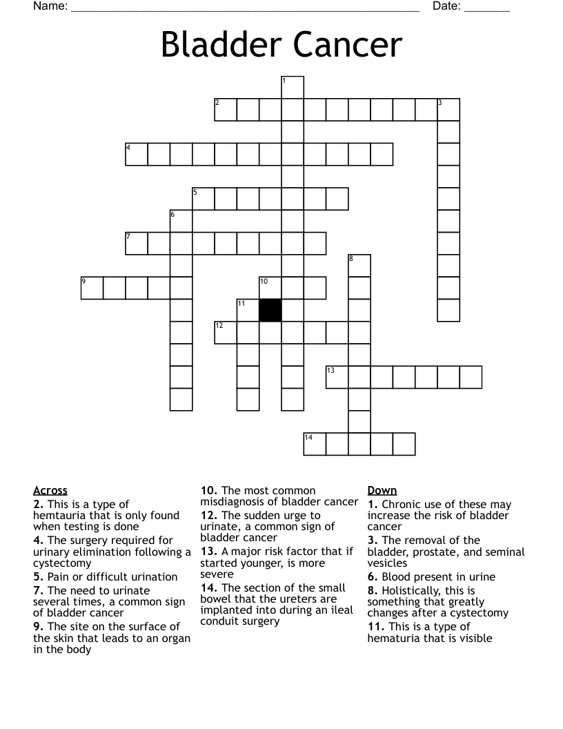 Bladder Cancer Crossword WordMint