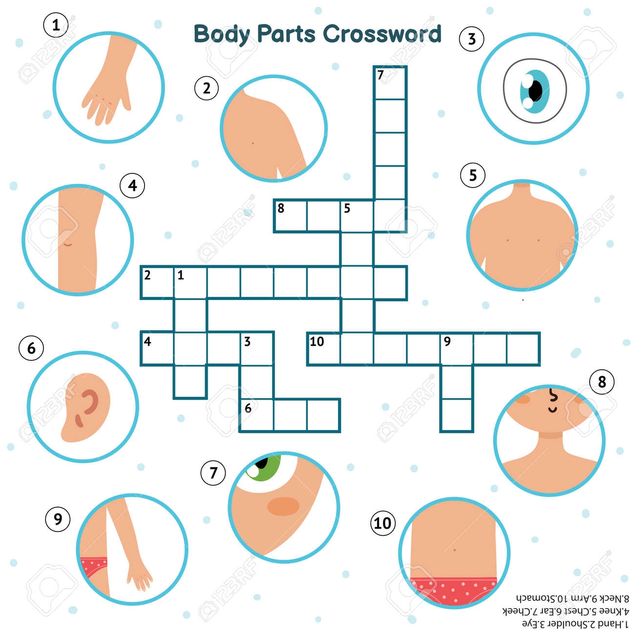 Body Parts Crossword With Hand Eye Shoulder Knee Chest Ear Cheek Neck Arm Royalty Free SVG Cliparts Vectors And Stock Illustration Image 157118896 Body Parts Crossword With Hand Eye Shoulder Knee Chest Ear Cheek Neck Arm Royalty Free SVG Cliparts Vectors And Stock Illustration Image 157118896