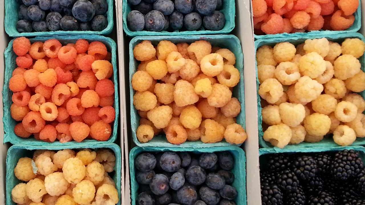 Bronx Cheer episode 1632 From A Way With Words