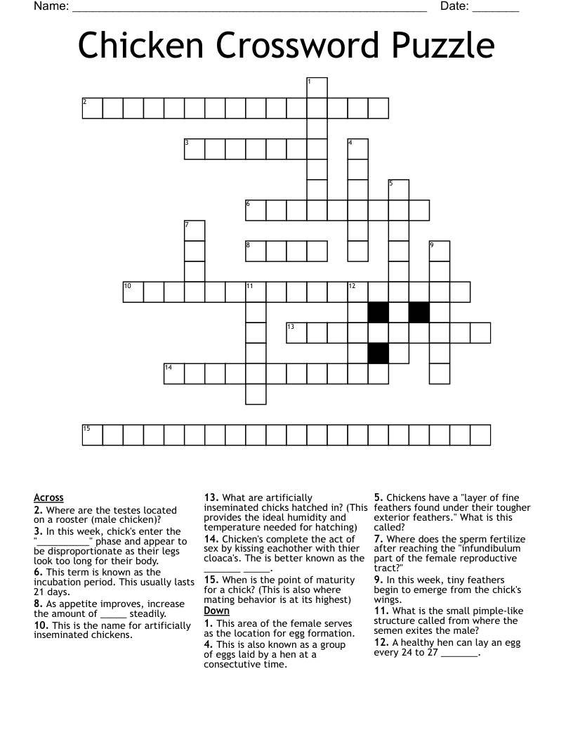 Chicken Crossword Puzzle WordMint