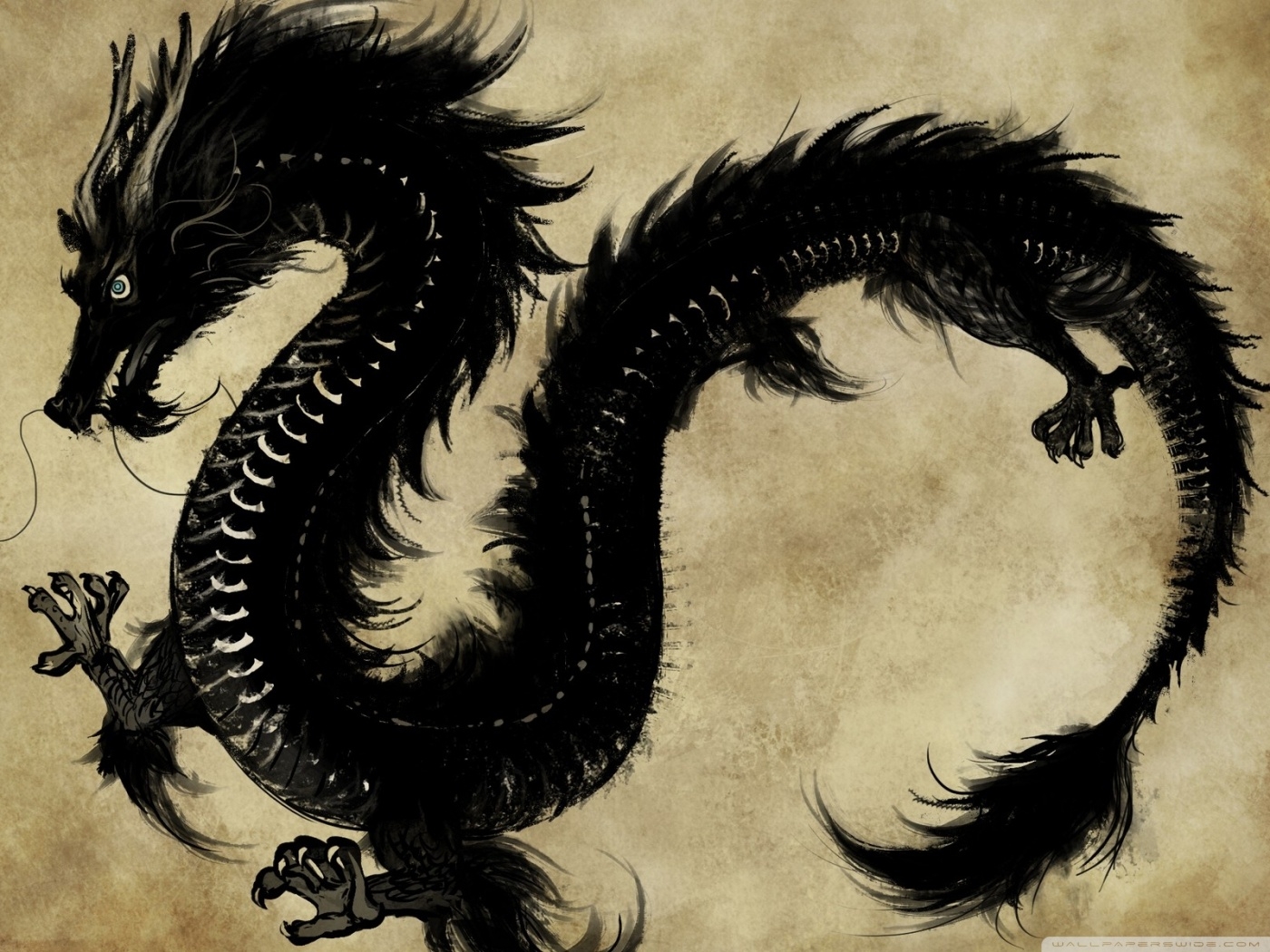 Chinese Black Dragon 4K UHD Wallpaper For UltraHD Desktop And TV