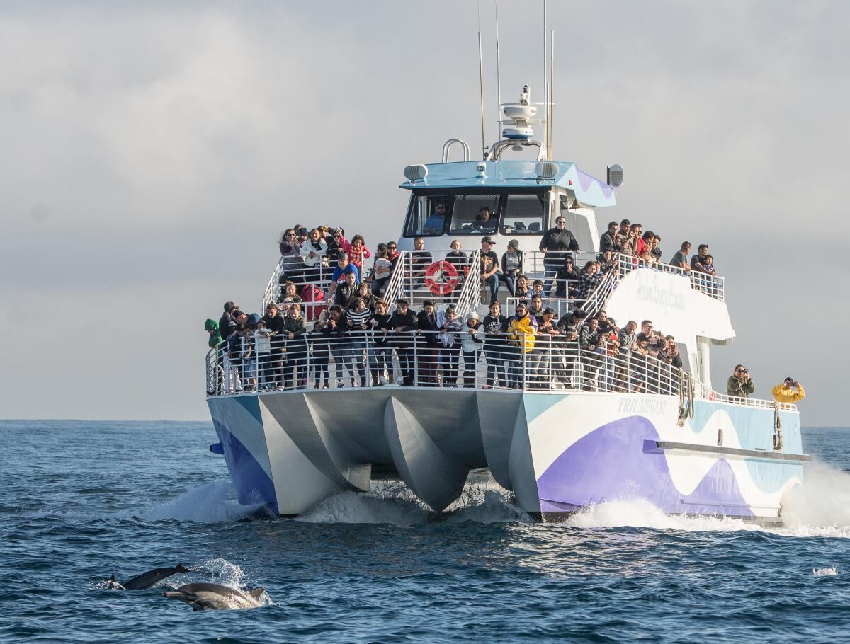 Company Plans Ferry Service Among Marina Del Rey Santa Monica And Malibu Los Angeles Times Company Plans Ferry Service Among Marina Del Rey Santa Monica And Malibu Los Angeles Times
