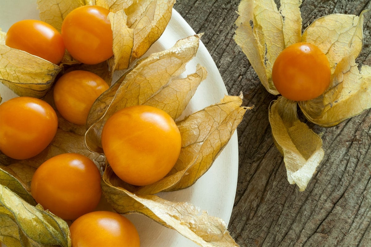 Complete List Of Fruits That Start With The Letter U 1 Is So Ugly 