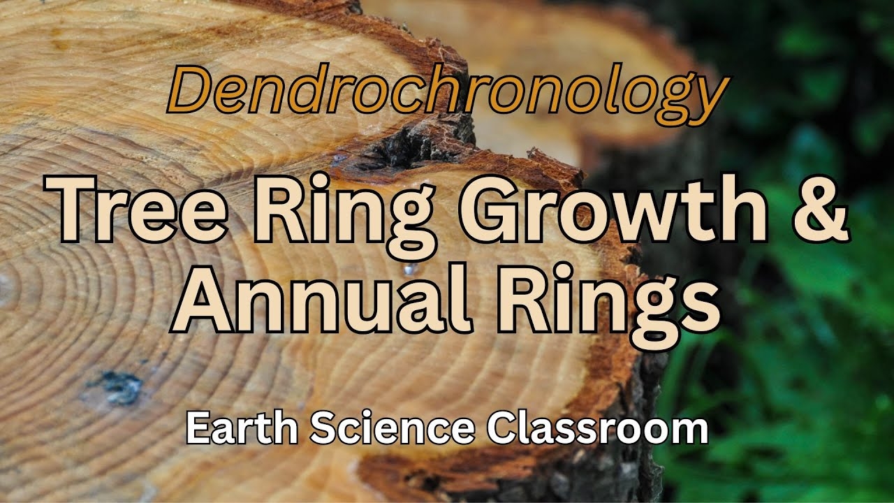 Crossword Clue Name For Tree Rings Failed Projects Tree Ring Generation Scientific Name For Tree Rings