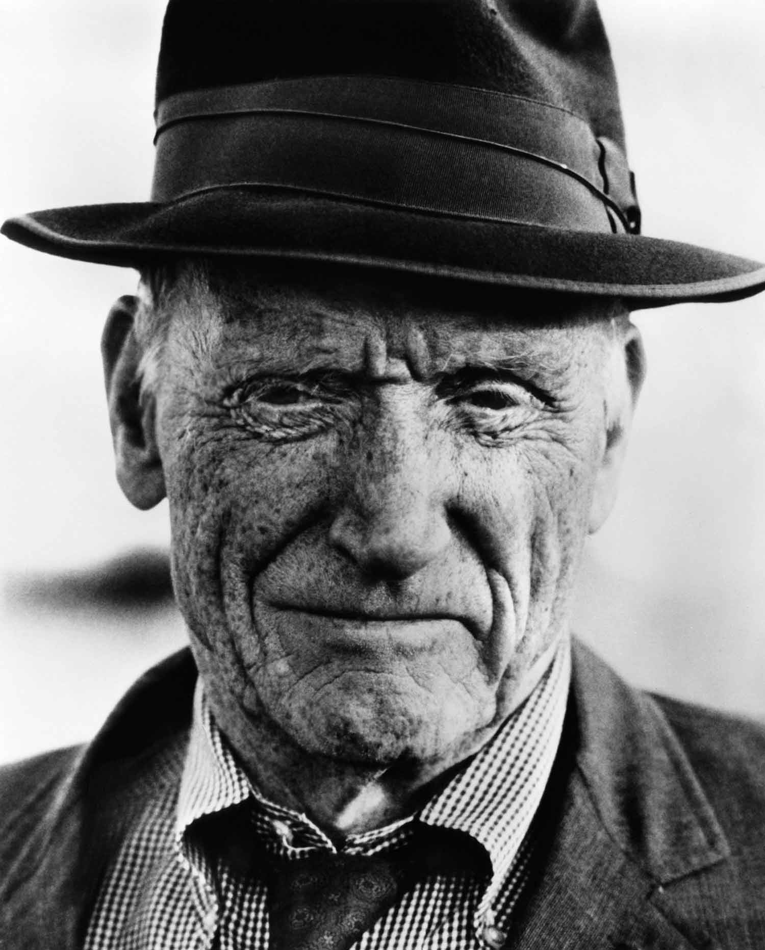 Dante Scarriet Dante Scarriet