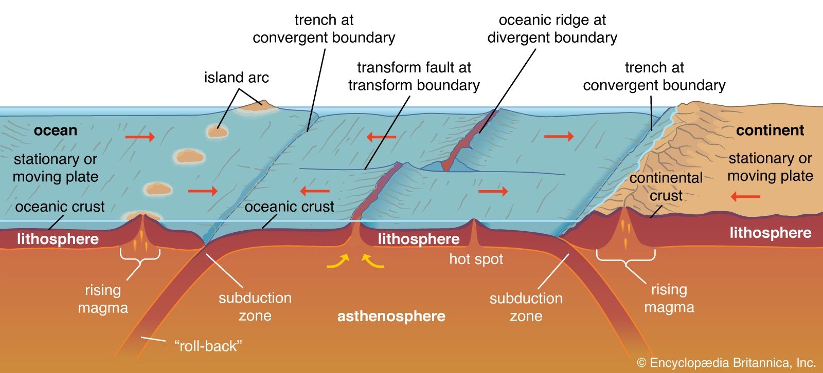 Deep sea Trench Oceanography Geology Marine Life Britannica