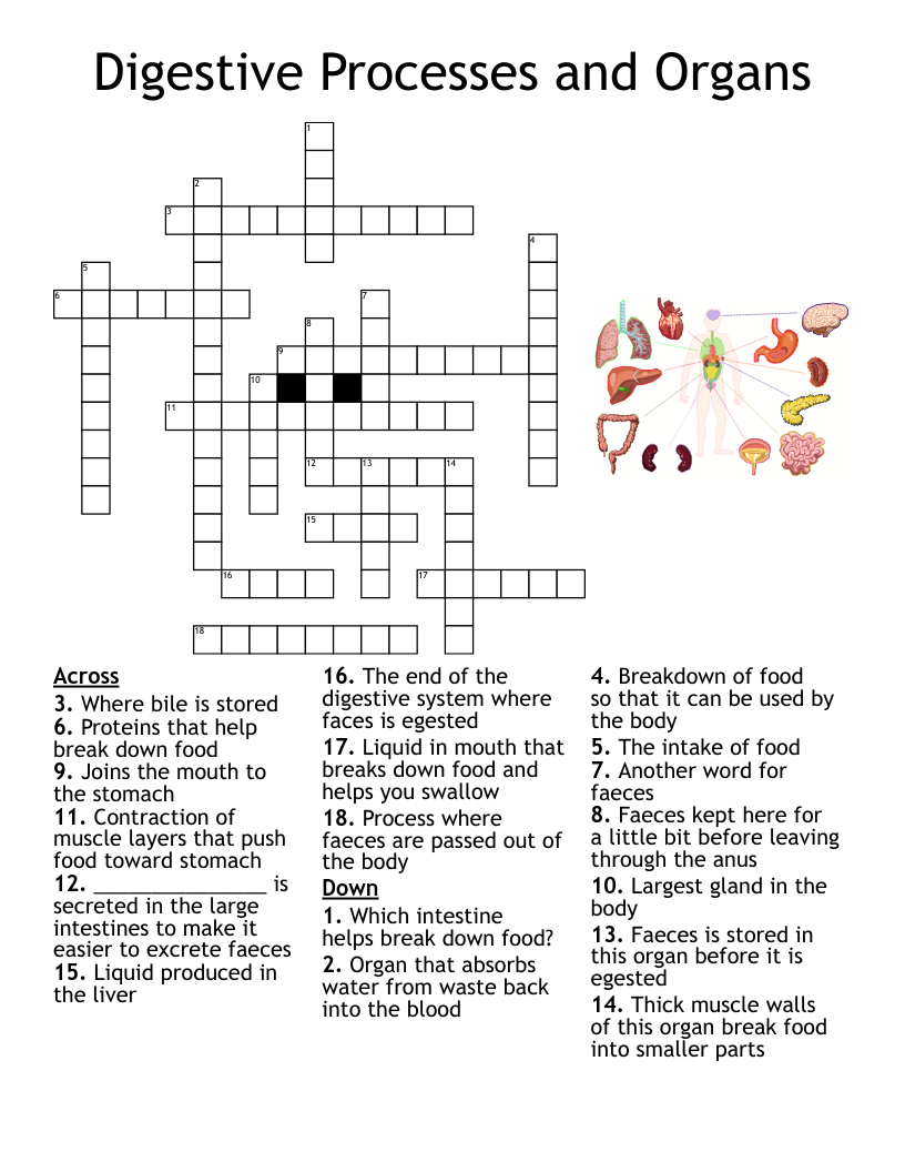 break down crossword clue