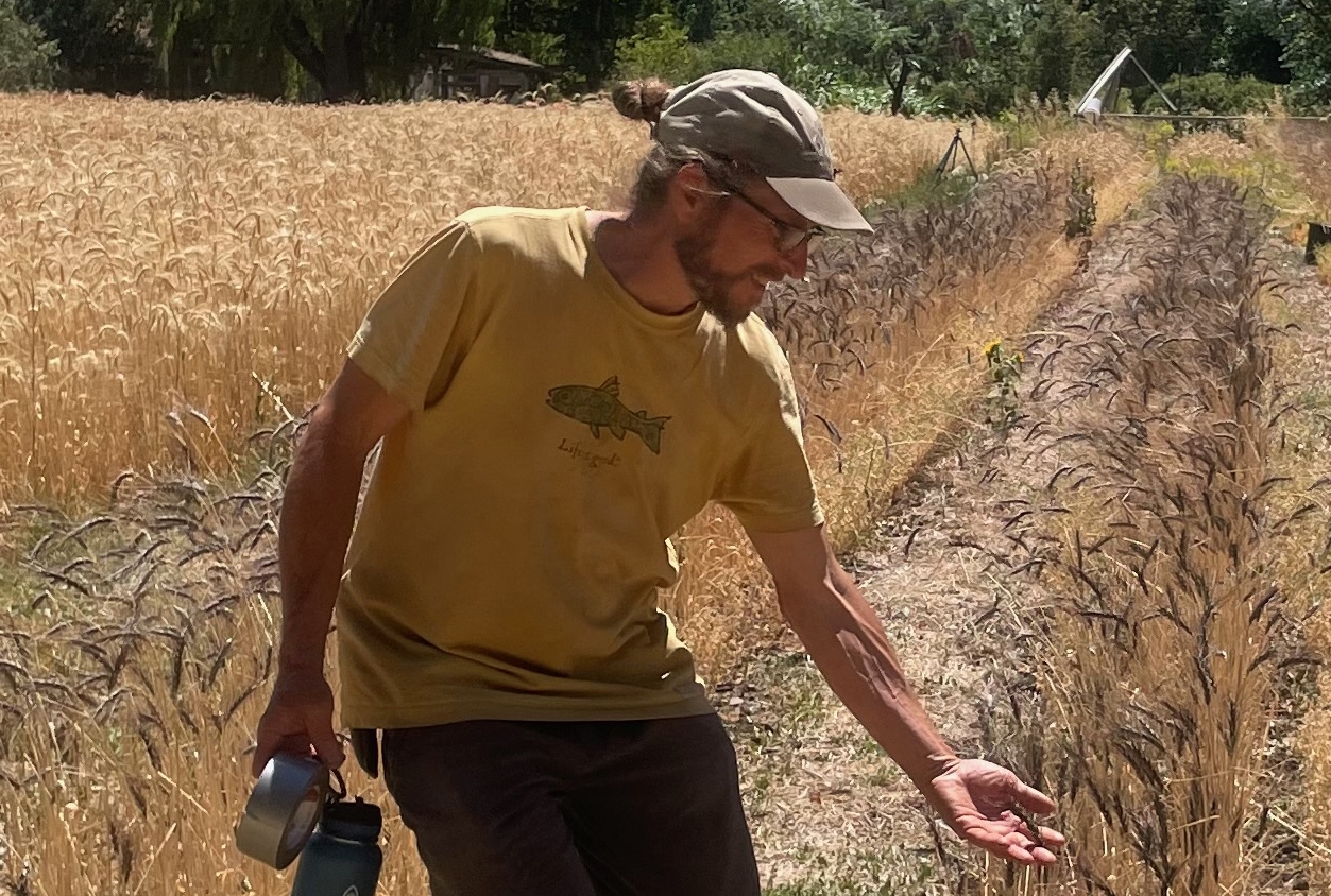 Diverse Crops Diverse Missions Local Farmers Raise Visitors Awareness Of How Food Gets To The Table Ashland News Community Supported NonProfit News