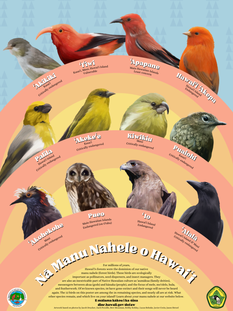 Division Of Forestry And Wildlife Makahiki O N Manu Nahele