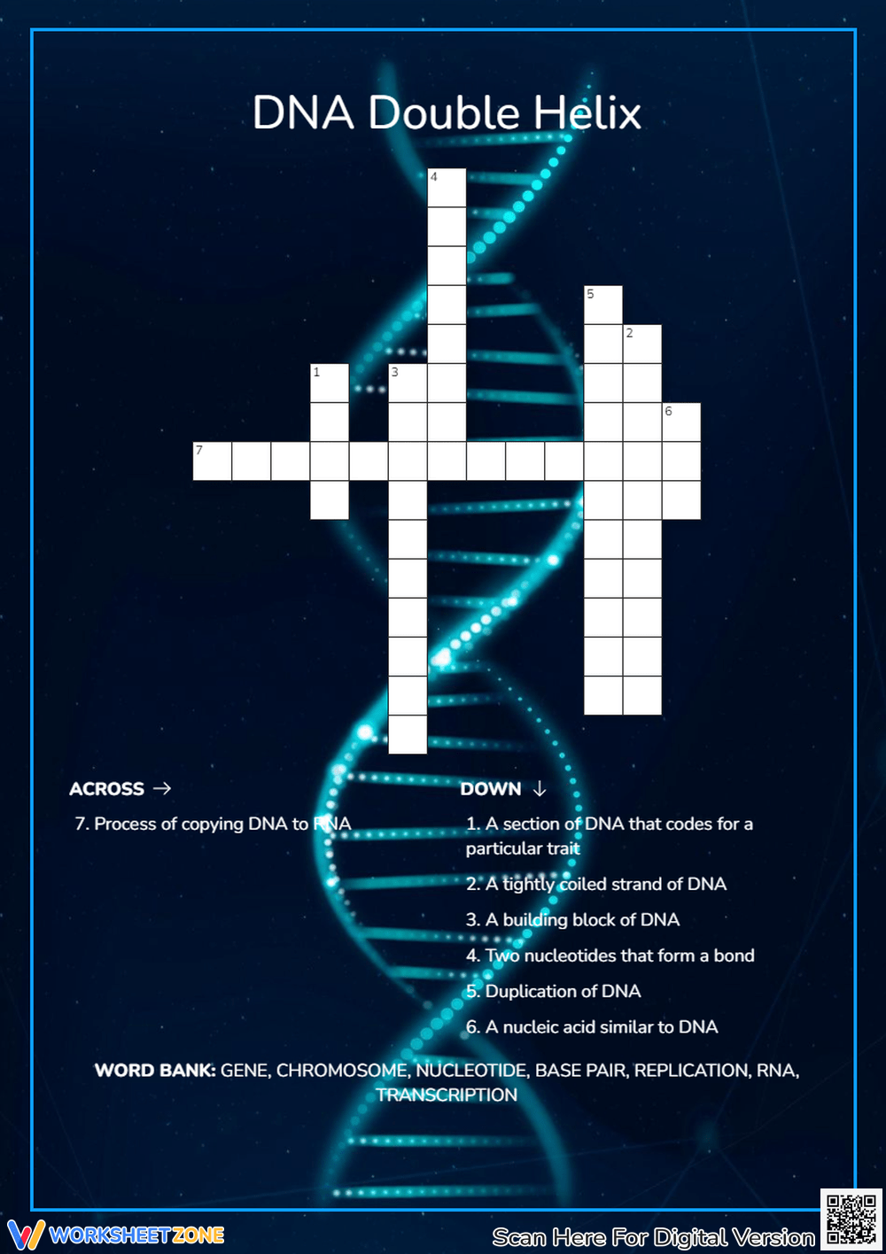 Dna Crossword Puzzle Worksheets