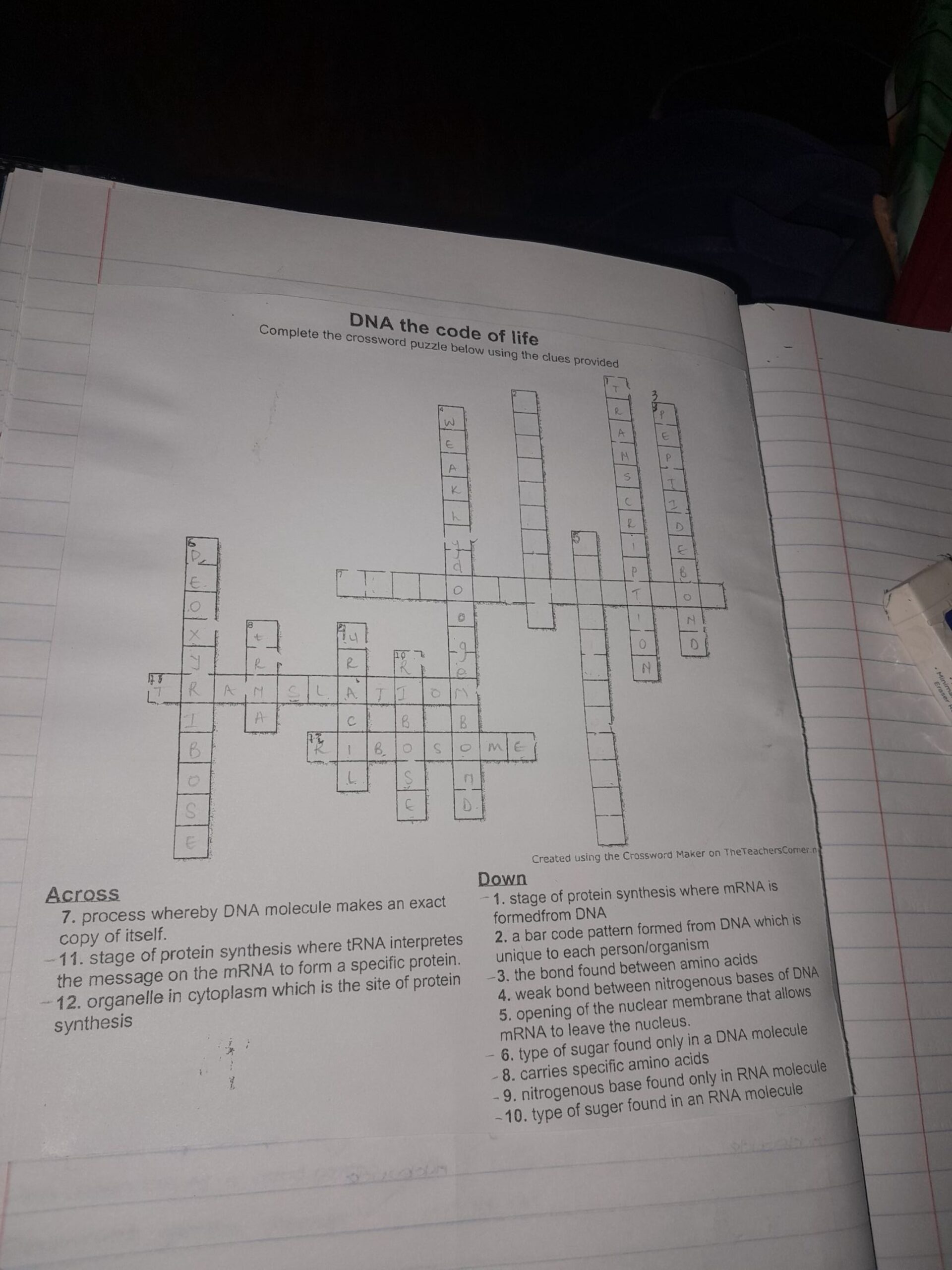 DNA The Code Of Life Complete The Crossword Puzzle Below Using The Clues 