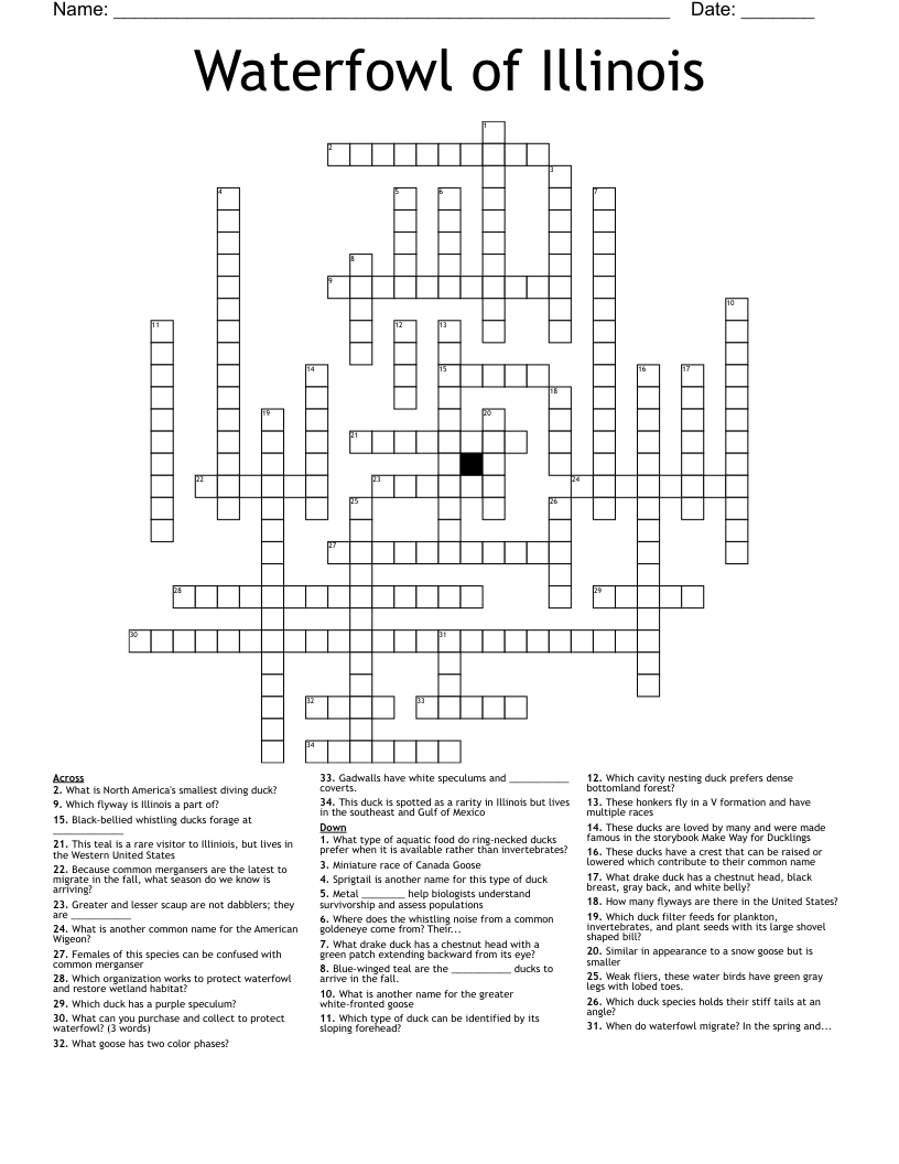 eurasian duck crossword clue