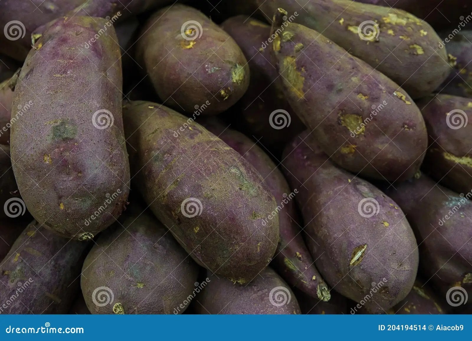 Edible Tubers Crossword Clue Edible Tubers Crossword Clue