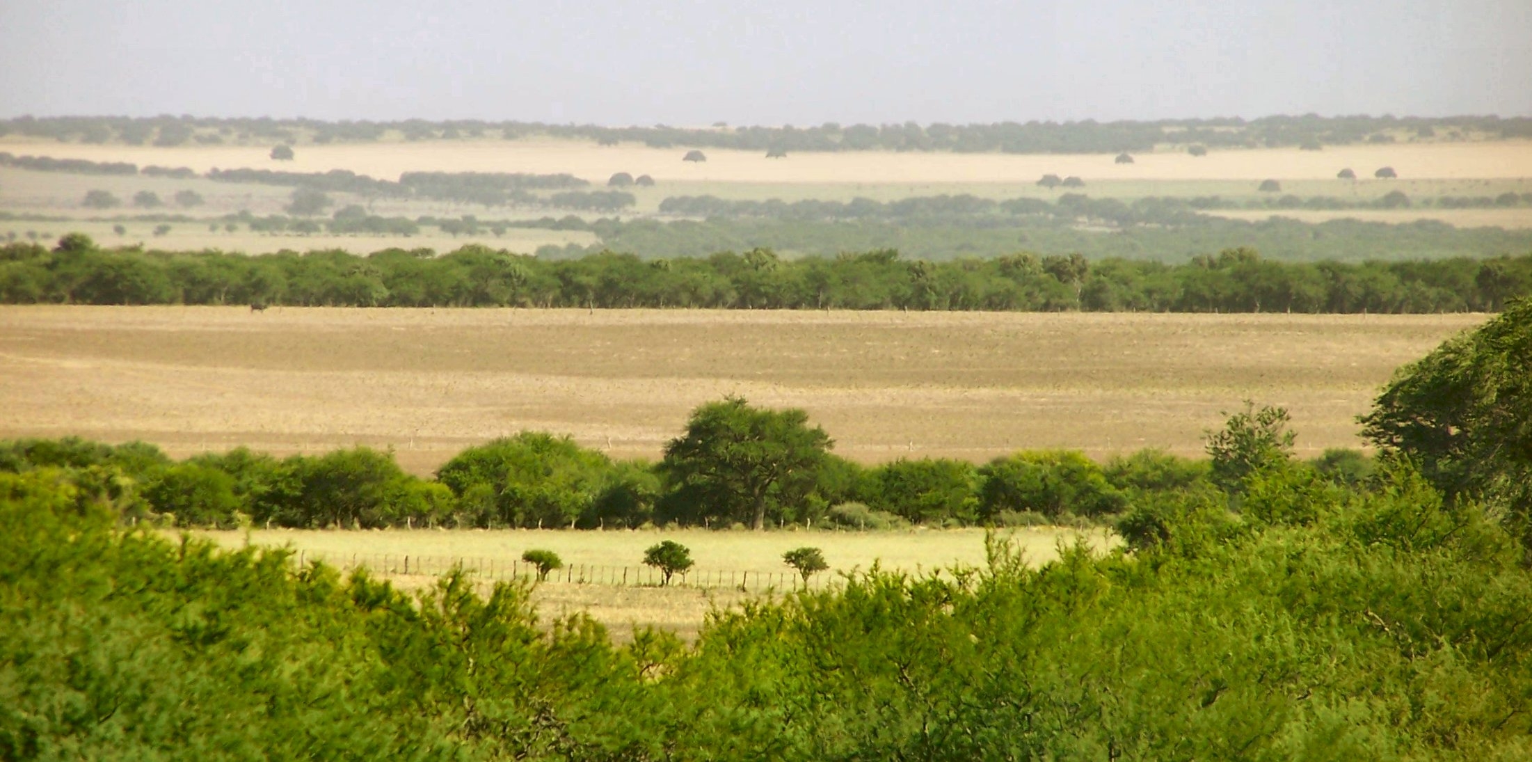 Expanding Agriculture Could Worsen Flooding In South American Plains Study Says Expanding Agriculture Could Worsen Flooding In South American Plains Study Says