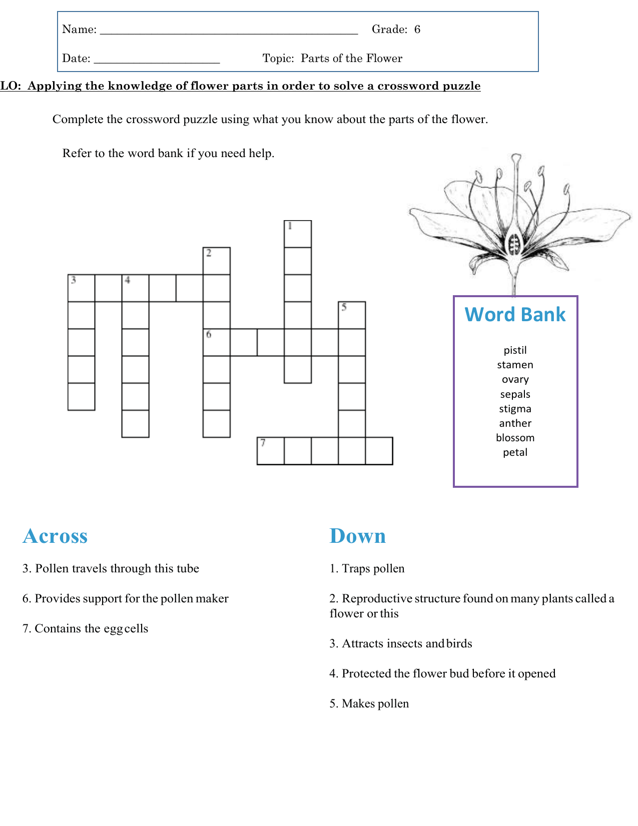 Flower Parts Crossword Puzzle Worksheet