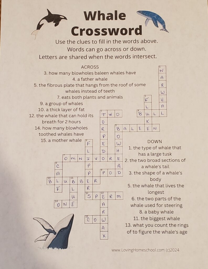 Free Whale Crossword Puzzle LovingHomeschool