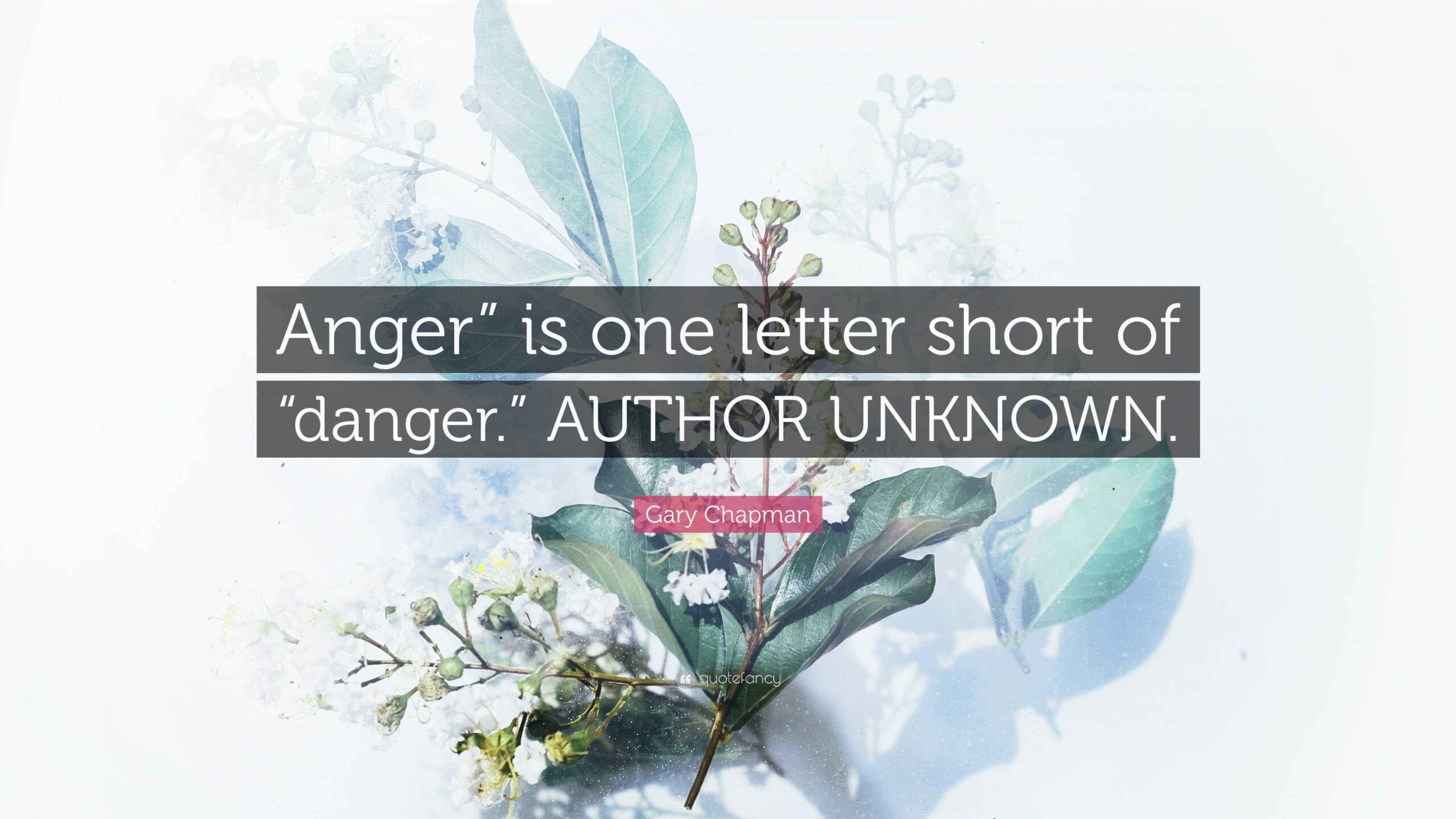 Gary Chapman Quote Anger Is One Letter Short Of danger AUTHOR UNKNOWN 