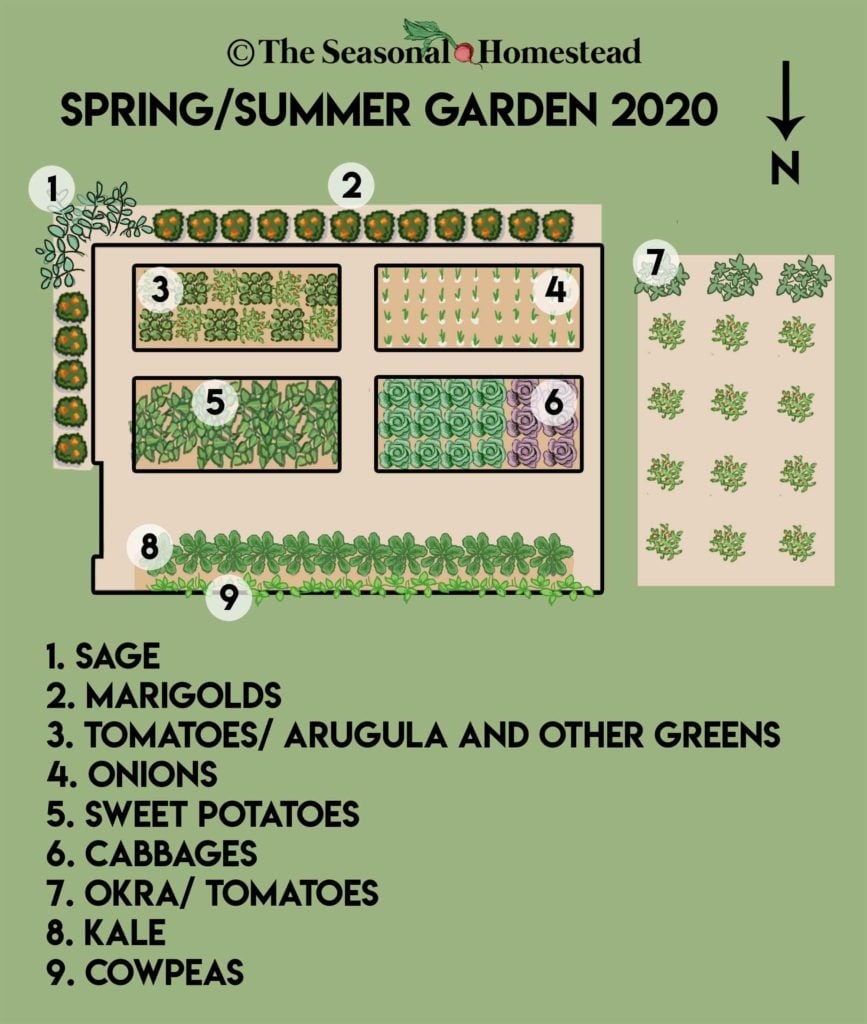 Getting Started With A Year Round Garden Part 2 Layout The Seasonal Homestead