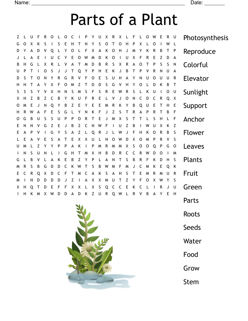 Growing Plants Crossword WordMint