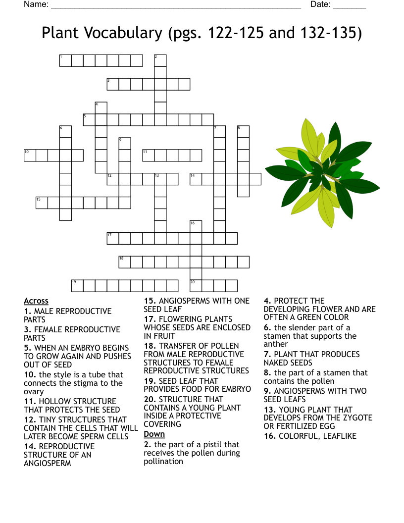 Growing Plants Crossword WordMint
