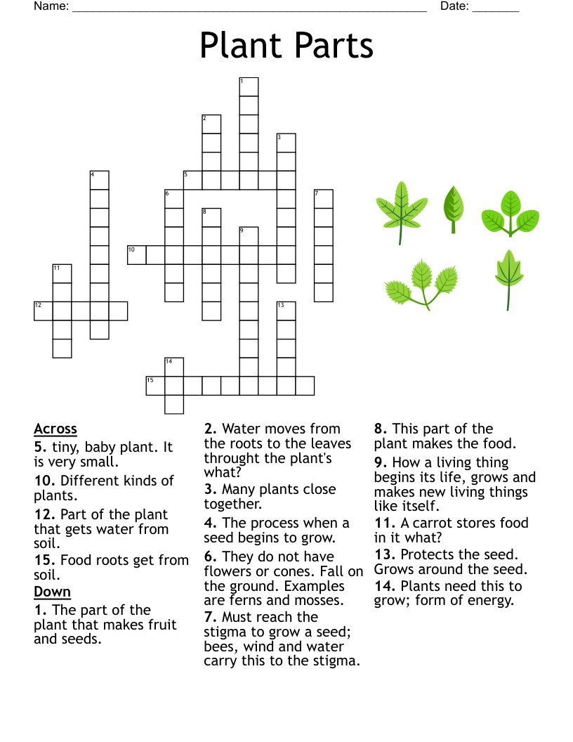 Growing Plants Crossword WordMint