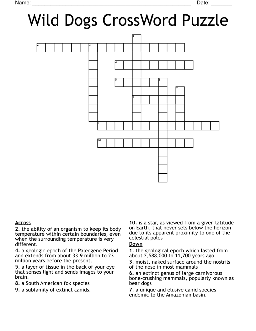 Horse Evolution Crossword WordMint