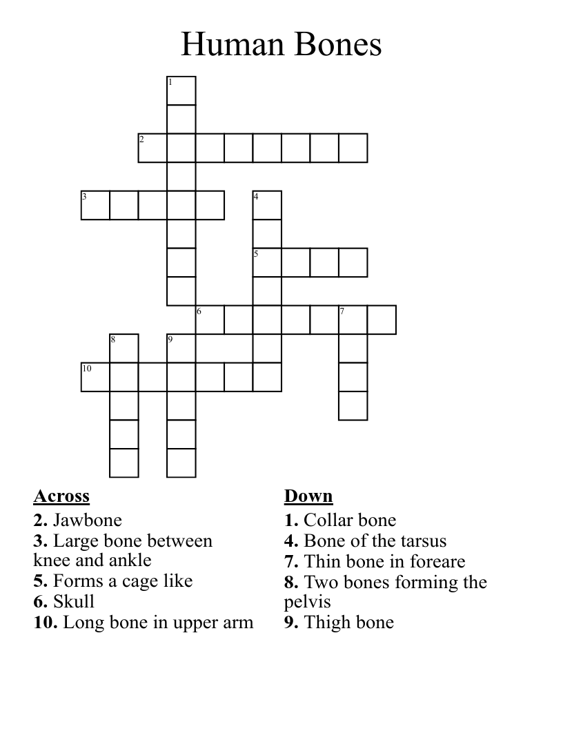 Human Bones Crossword WordMint Human Bones Crossword WordMint