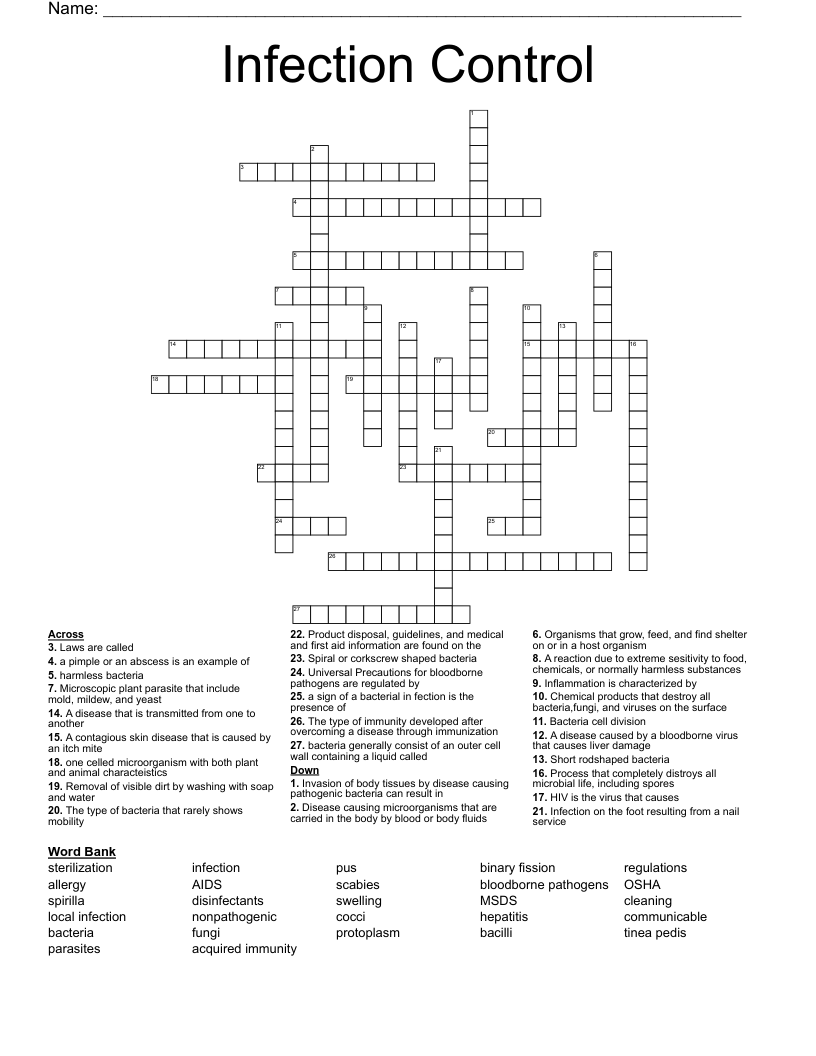 Infection Control Crossword WordMint