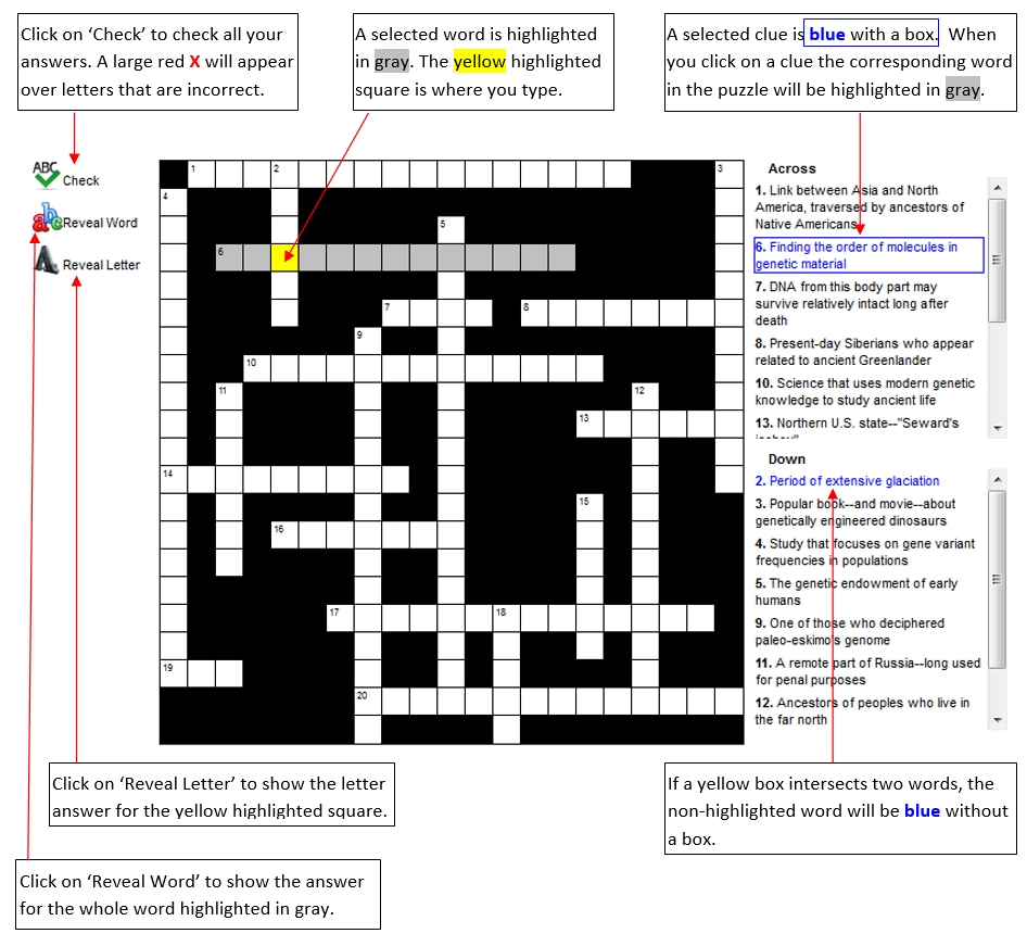dna section crossword clue