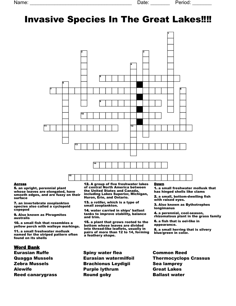 Invasive Species In The Great Lakes Crossword WordMint Invasive Species In The Great Lakes Crossword WordMint