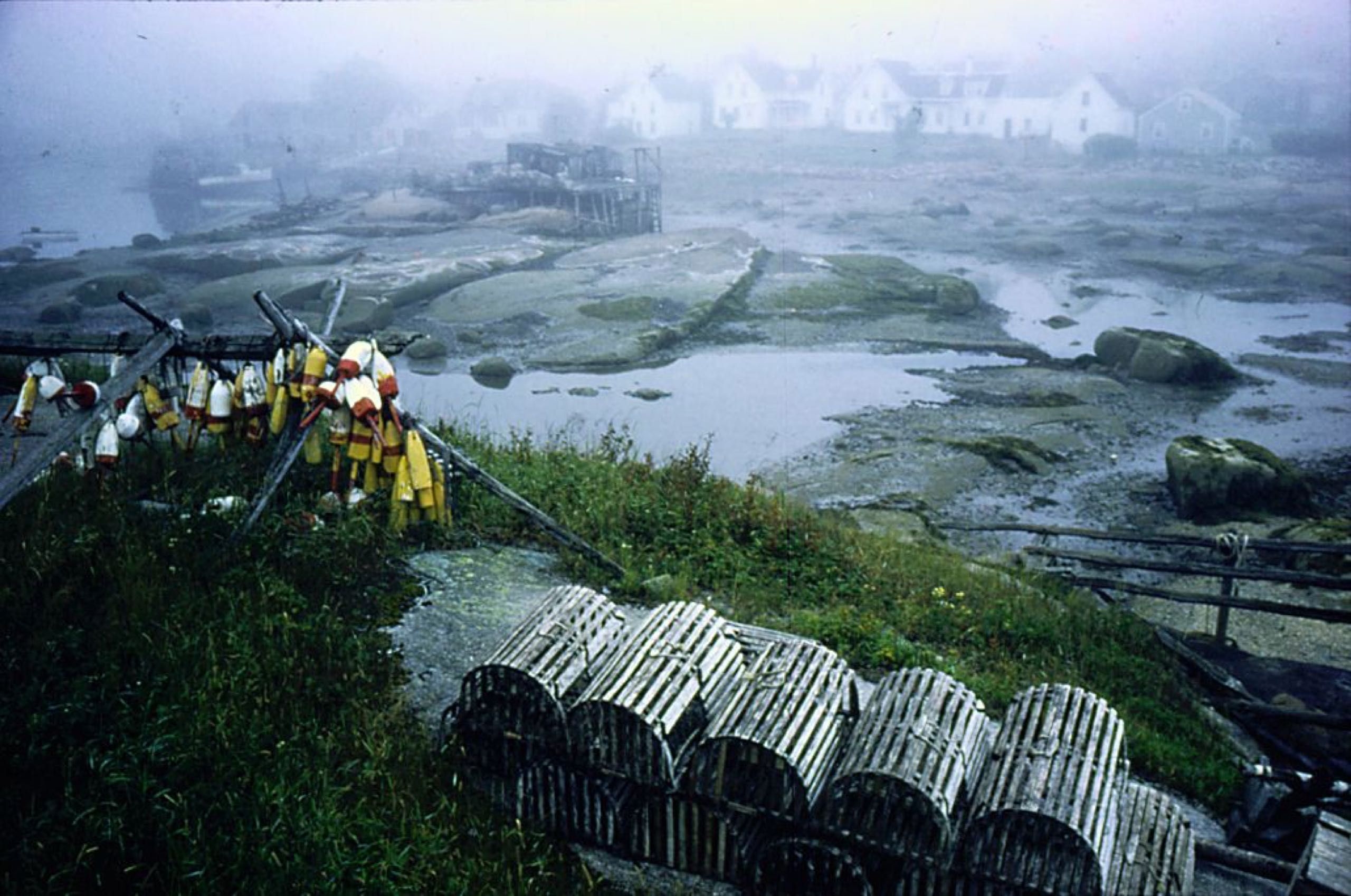 John McPhee Meet John McPhee The New Yorker