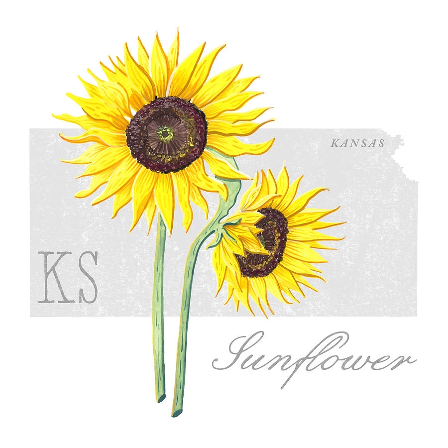 Kansas State Flower Sunflower Art By Jen Montgomery Painting By Jen Montgomery Fine Art America Kansas State Flower Sunflower Art By Jen Montgomery Painting By Jen Montgomery Fine Art America