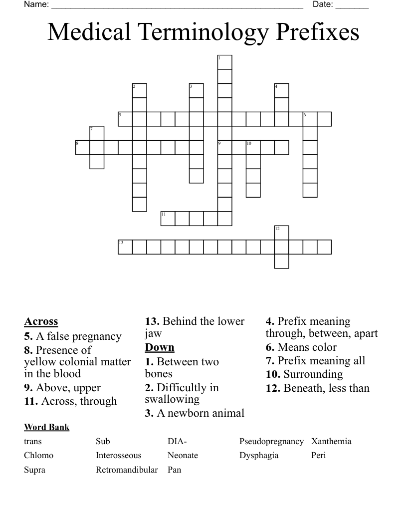 Medical Terminology Prefixes Crossword WordMint