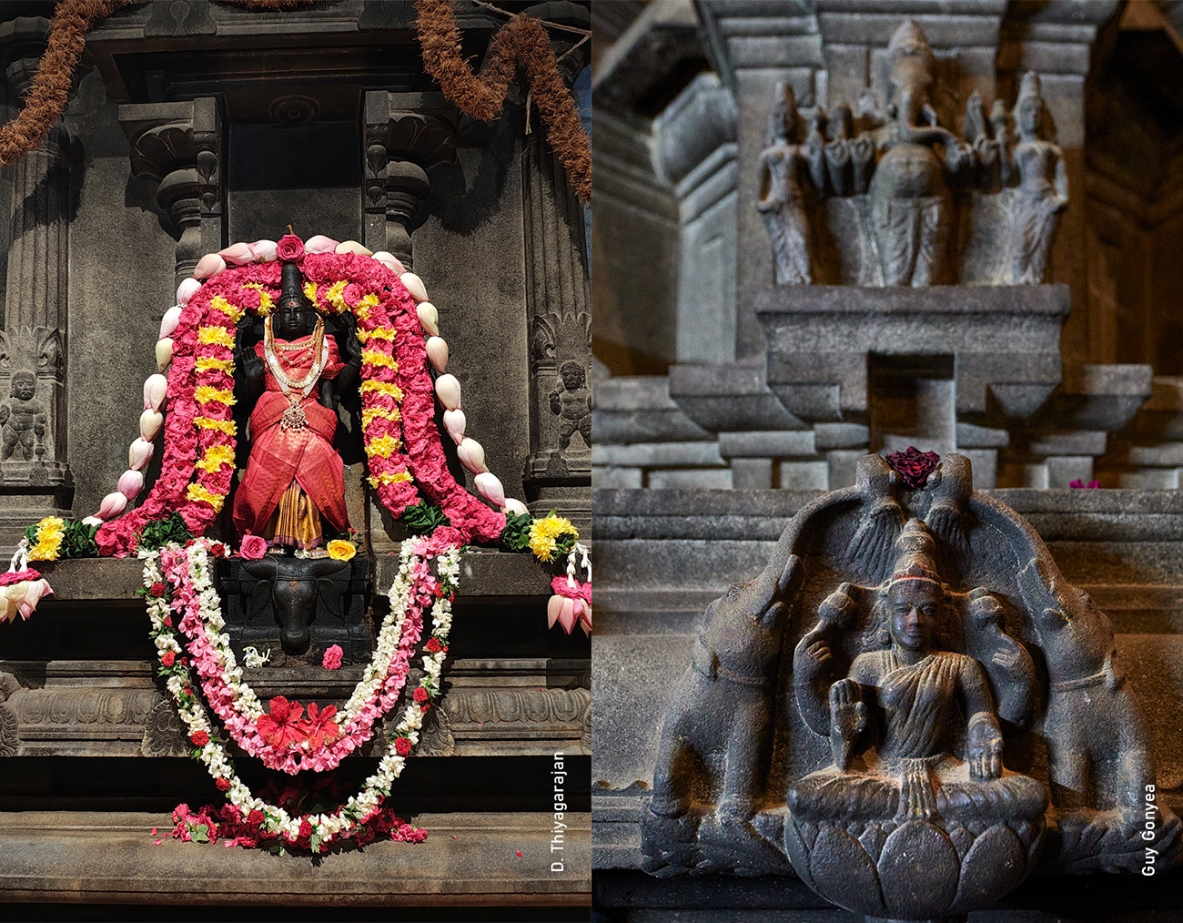 hindu ascetic crossword clue