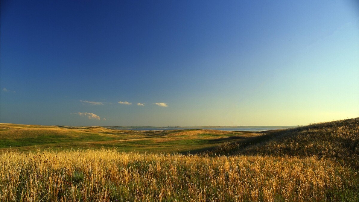 New Research From The U S Forest Service Says The Great Plains Grasslands Are Maintained By Wind Fire Wyoming Public Media