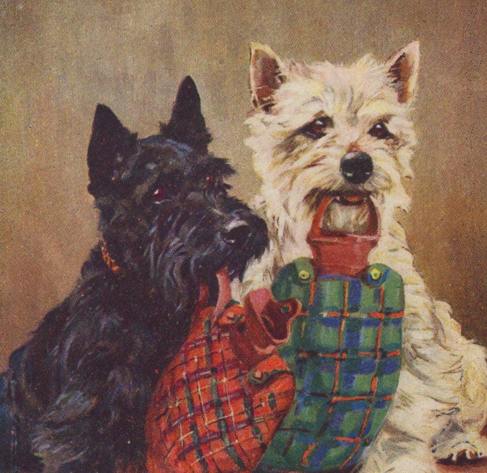 Original 1940s Westie Scottish Terrier Mabel Gear Artist Illustrated Postcard Vintage Scottie Scotty West Highland White Dog Etsy Original 1940s Westie Scottish Terrier Mabel Gear Artist Illustrated Postcard Vintage Scottie Scotty West Highland White Dog Etsy