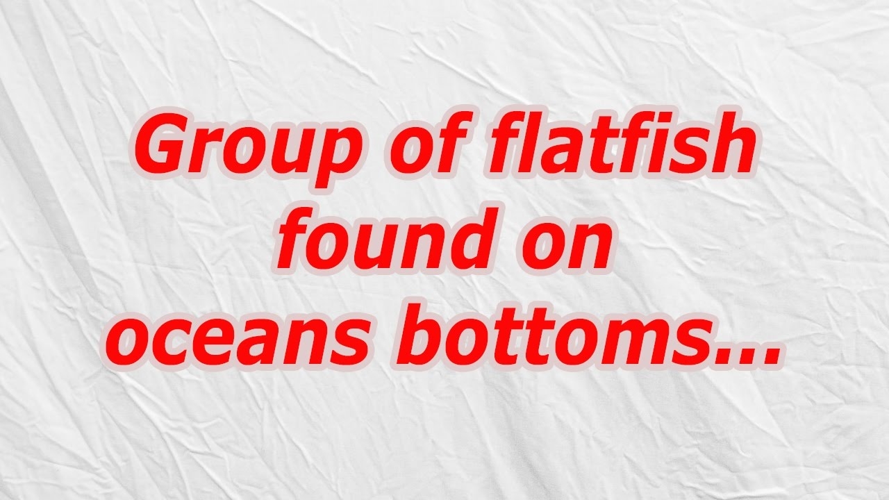 flat fish crossword clue