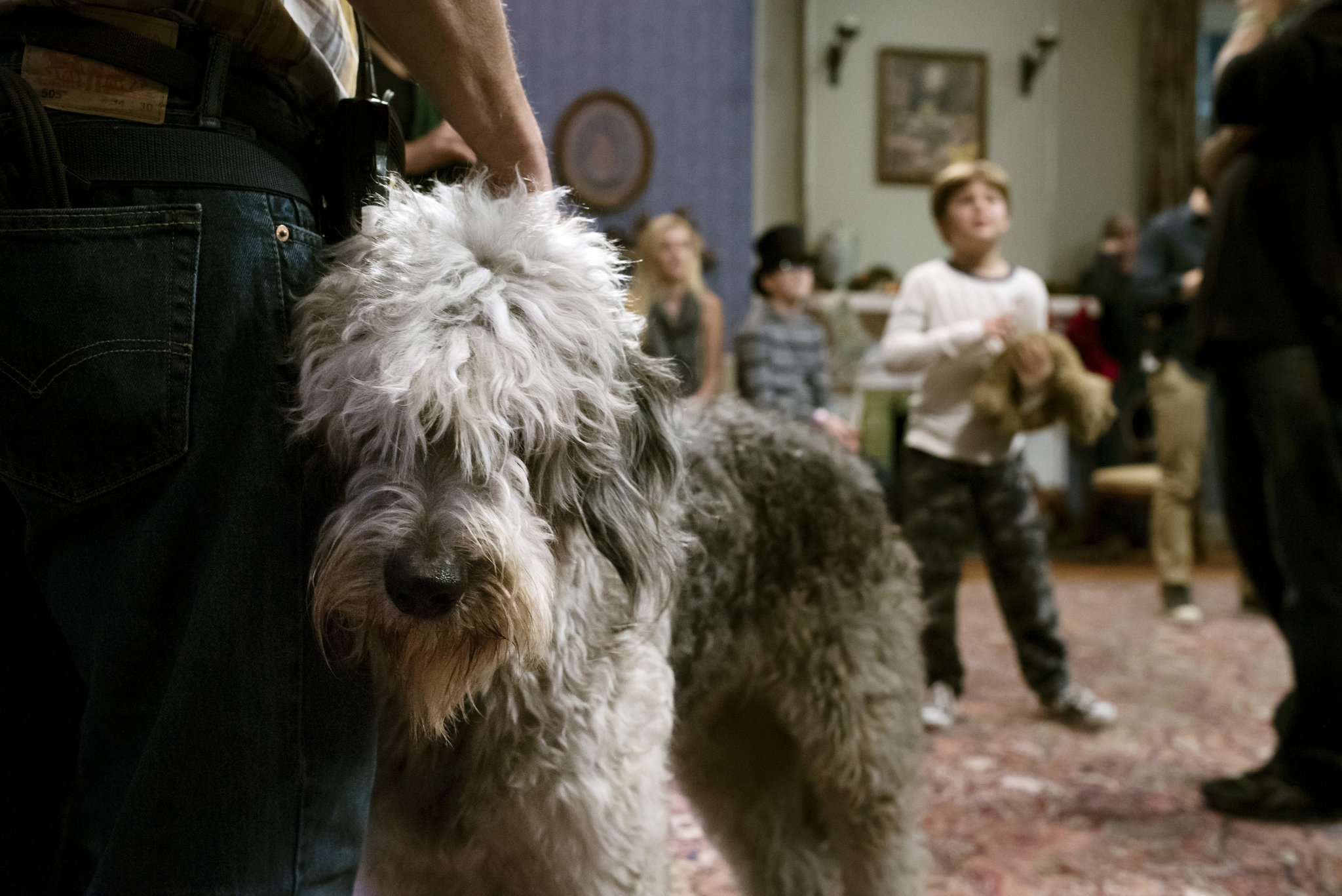 Peter Pan Live With Allison Williams And Christopher Walken Comes To NBC The New York Times